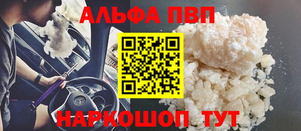 Alfa_PVP СК Вологда