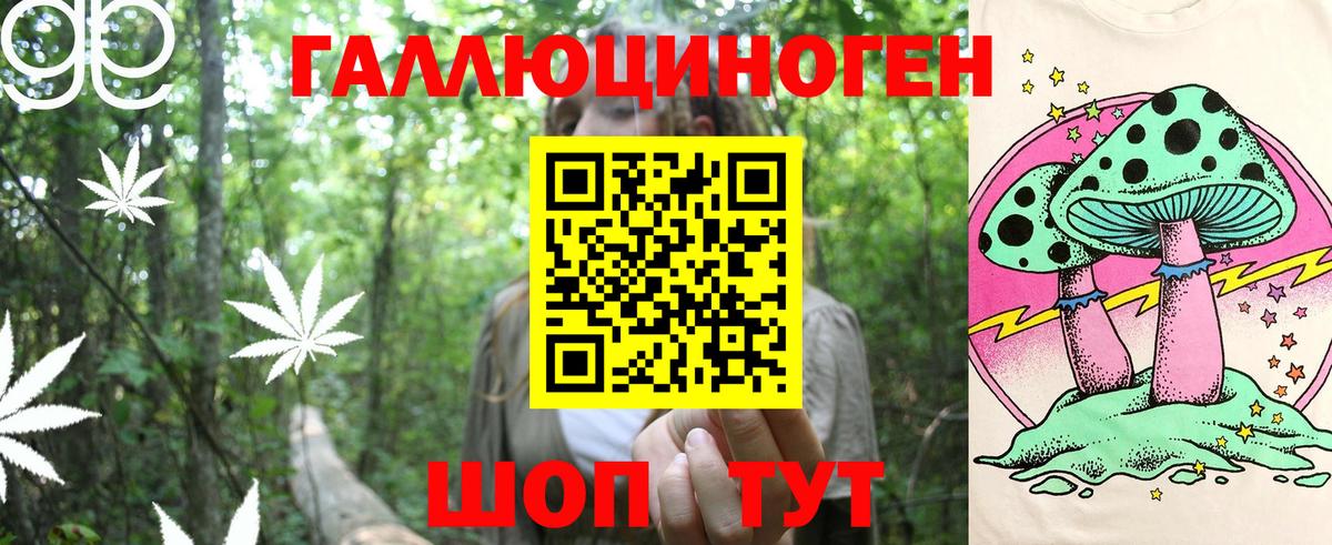 Псилоцибиновые грибы Psilocybine cubensis  Вход с VPN  Вологда 